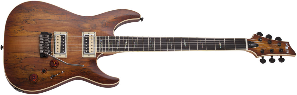 Guitars > Exotic